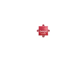 Bergo Logo Linjekryss System 4